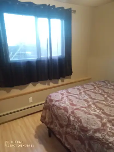 Looking for single working male non drinker as this is a sober house. Quiet clean home 15 mins to An...