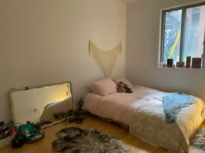 Private Room for Rent — 20-Minute Walk from McGill Looking for a new roommate to join our fun and fr...