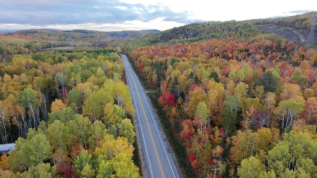 Grand terrain boisé Petit-Saguenay - 173 869 pi2 — photo 2