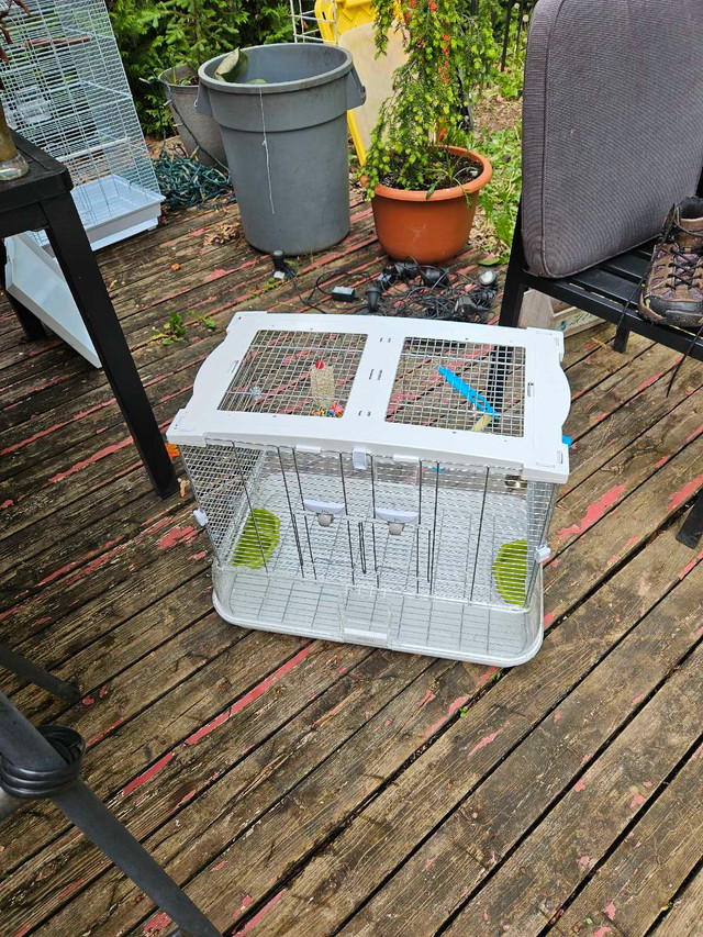 super speciaux lundi 50% sur oiseaux et cages  dans Oiseaux à adopter  à Laval/Rive Nord - Image 4