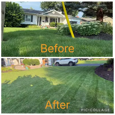 Lawn Care and Patio Cleaning!, View more