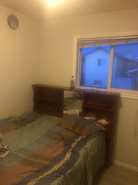 Room for rent available in taradale ne