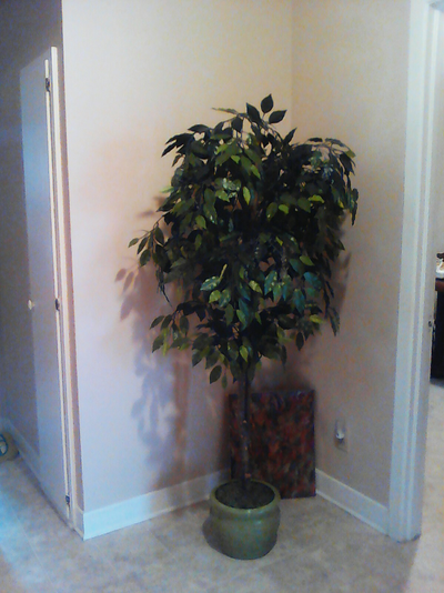 En très bonne état