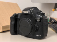 Canon 5D III
