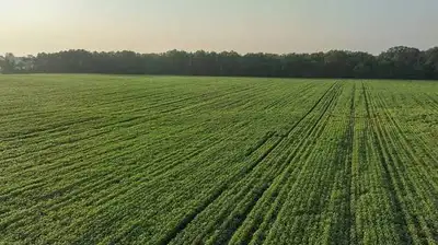 17-Acre Prime Farmland for Lease in Chilliwack. Easy access, suitable for heavy equipment. We are se...