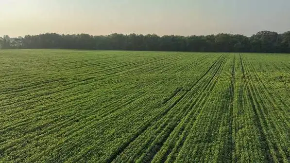 17-Acre Prime Farmland for Lease in Chilliwack.