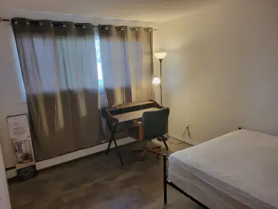 room for rent NW Edmonton quiet and clean