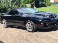 TRANS AM CONVERTIBLE WS6 only 15,000original kms!!