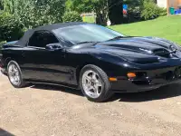 1998 TRANS AM CONVERTIBLE WS6 only 15,000original kms!!