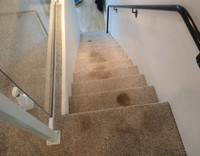 Reliable, affordable, carpet cleaning: everything included!