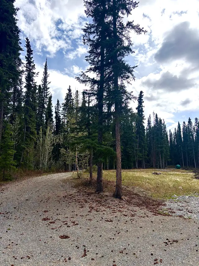 Property for Sale-Prime acreage Cousins Airstrip Whitehorse area in Land for Sale in Whitehorse - Image 3