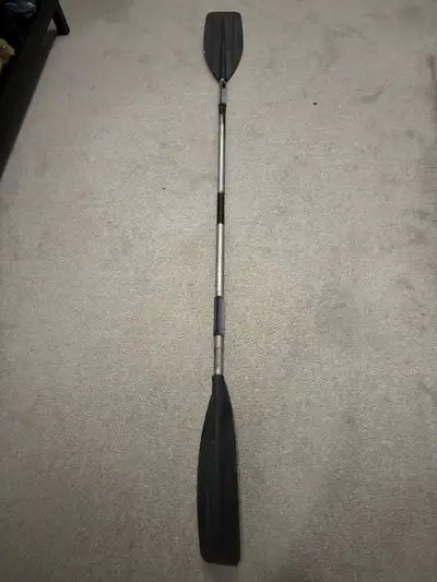 Precision Pack Double Side Paddle Used Good , View more