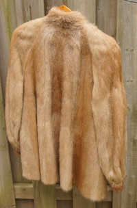 Fur coat, from rare Nutria Fur, European Design. Medium size