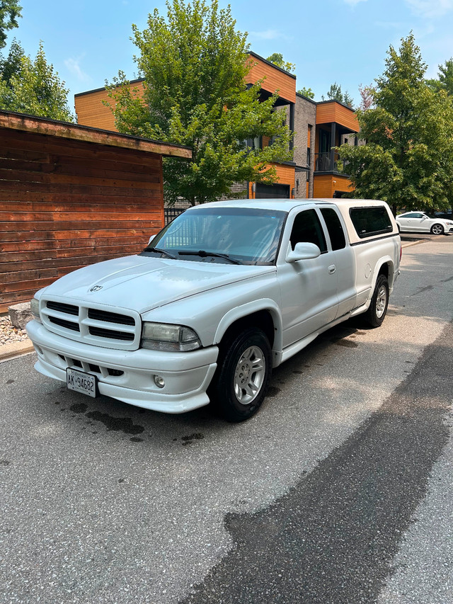 2003 DODGE DAKOTA STAMPEDE in Cars & Trucks in London