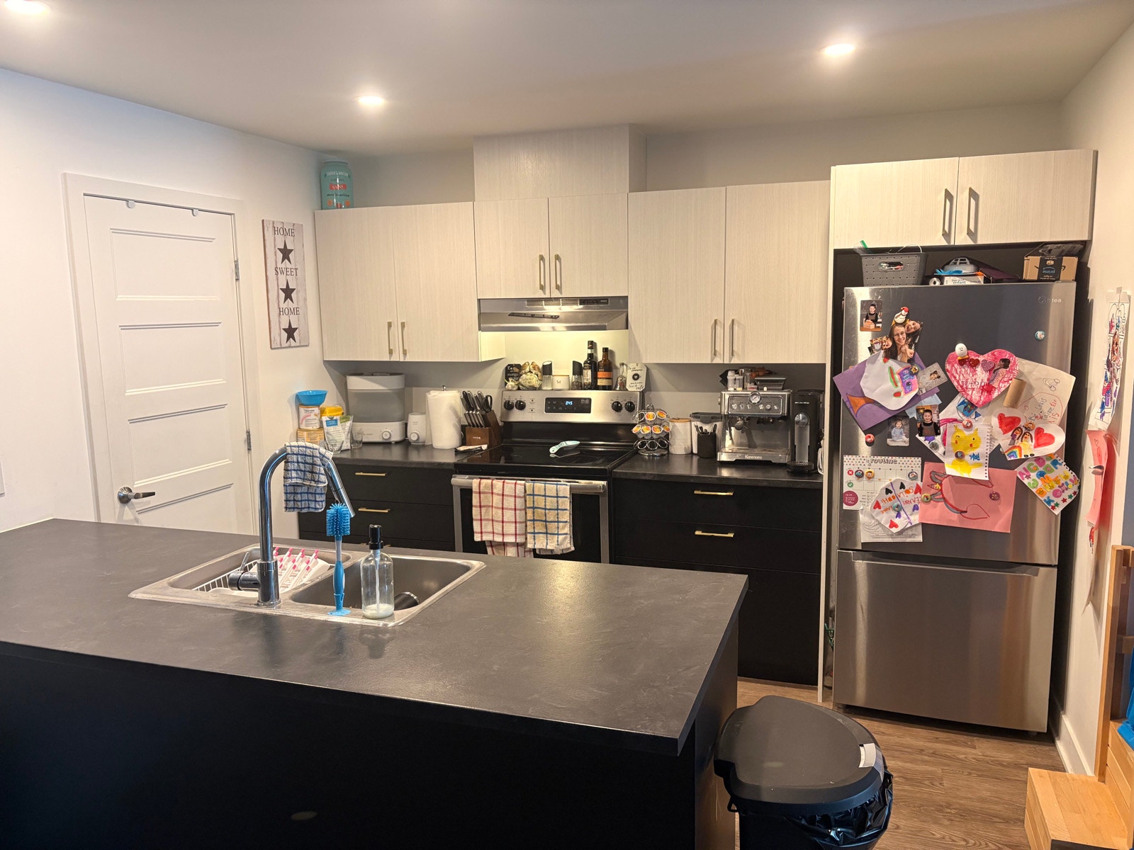 Appartement 5-1/2 Saint-Rémi RDC 1815$ chien — photo 2