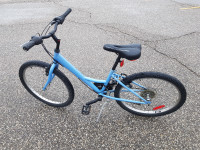 24 inch blue MOUNTAIN bicycle.