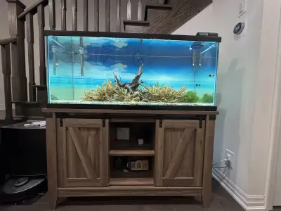 Premium 75 Gallon Aquarium Setup + OASE BioMaster thermal 600!, View more