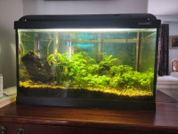 Fish tank for sale*fish is gone