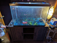 75 Gallon Fish Tank with lights pump filters and heater