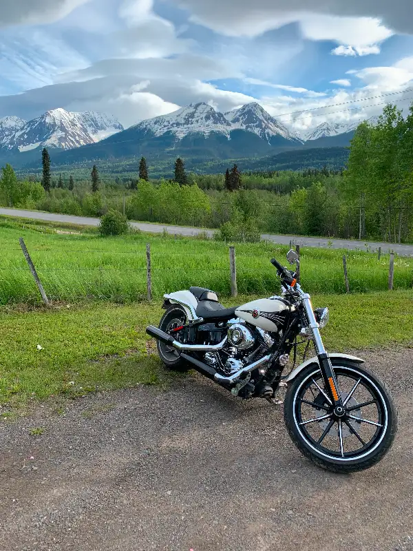 2014 Harley Davidson Breakout