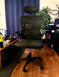 Ergonomic Office Chair - Brand New!