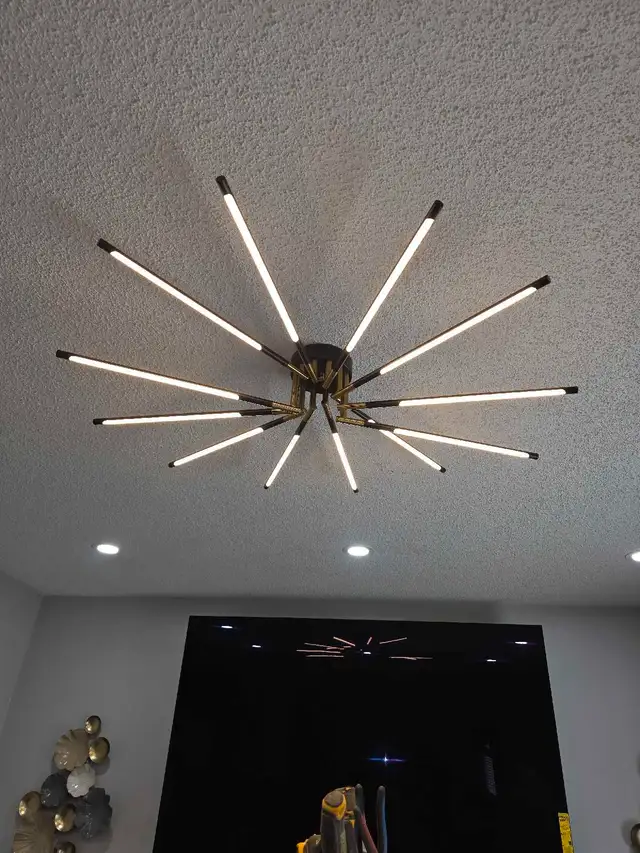 Licensed electrician 63804736513921121