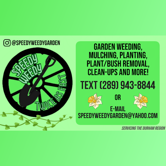 HIRING $20/HR - Gardening/Landscaping Contractors in General Labour in Oshawa / Durham Region - Image 2