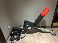 Bowflex weights and bench