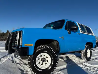 —- PRIVATE SALE —- “Blaze your own trail” in this professionally, partially restored, 1987 Chevrolet...