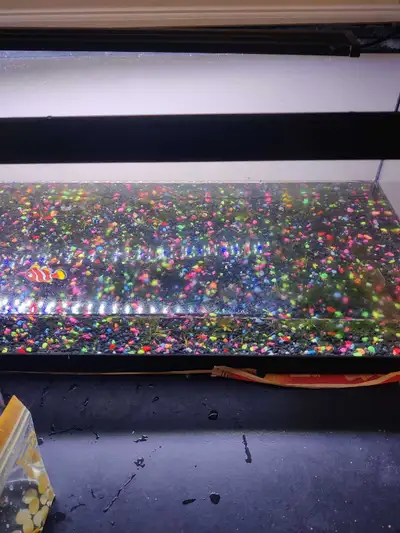 $100 20GL aquarium and light. With gravel and live plant if pickup before Tuesday.