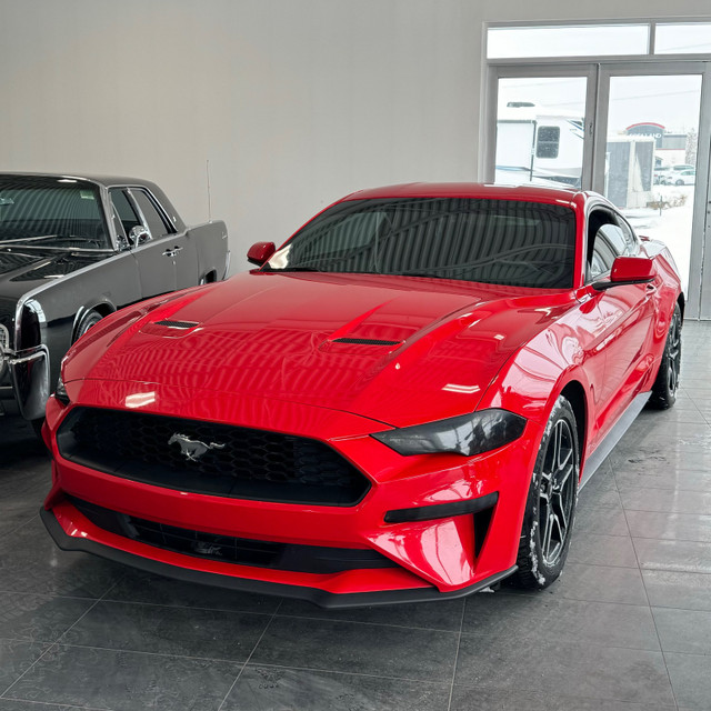 2019 Ford Mustang EcoBoost Fastback in Cars & Trucks in Calgary