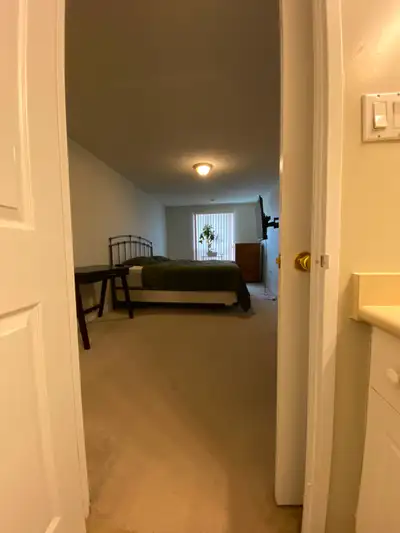 Master Bedroom for mid/short term rental 1 year max, in a quiet & clean building What is included :...