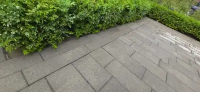 landscaping labour , View more
