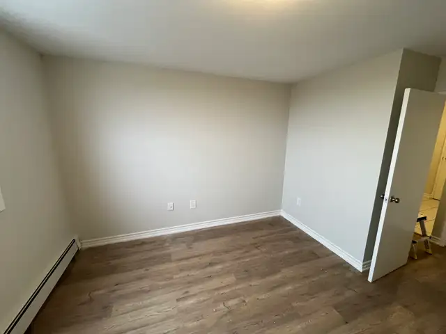 Professional Painter – Clean & Fast Work402405784646461442