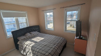 Private Room in Pickering for Rent - private living room