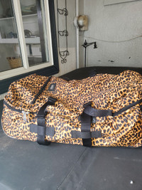 Victoria's secret luggage 