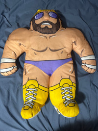 WWF wrestling buddy