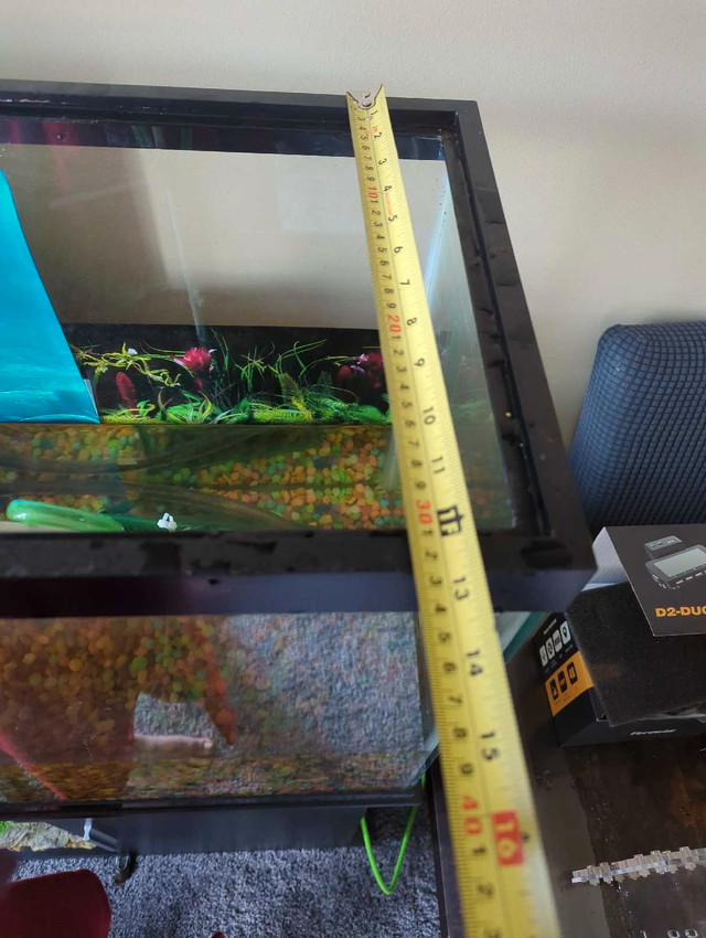 55 gallon Aquarium with Stand in Accessories in Barrie - Image 2