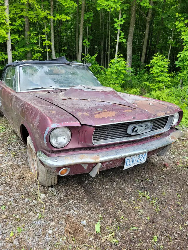 1966 Mustang Convertible in Classic Cars in Cornwall - Image 2