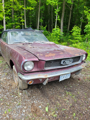 1966 Ford Mustang Convertible