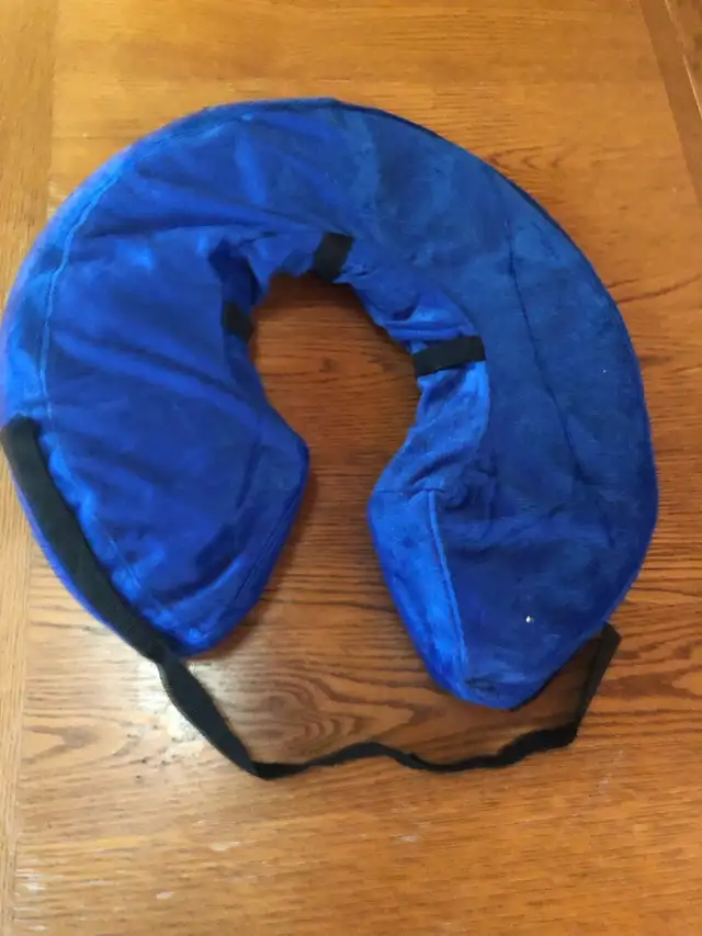 XL inflatable dog cone collar in Accessories in Saskatoon - Image 3