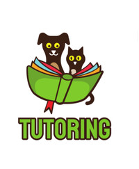 Experienced tutor services  (online)