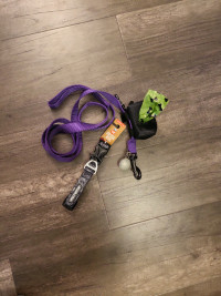 Top Paw Dog Leash, Arcadia Collar, Poop Bags, and Warning Light