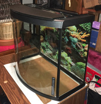 Fish Tank Curved Front with Cabinet & Accessories