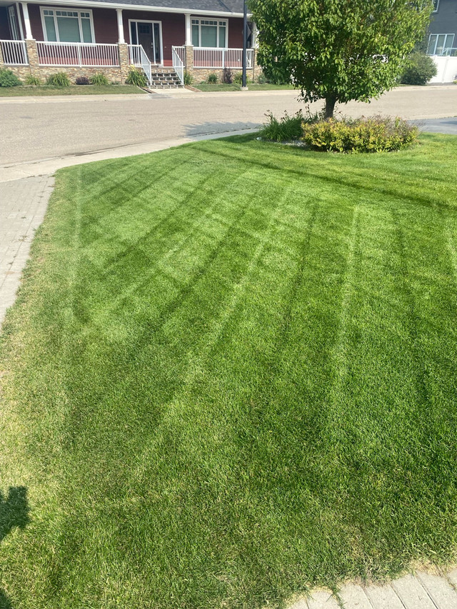 $20 Lawn Mowing / $60 eavestrough cleaning anywhere in Saskatoon in Snow Removal & Property Maintenance in Saskatoon - Image 4