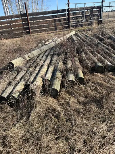 20 foot poles, View more