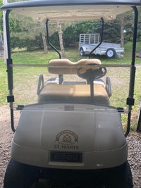 Gas golf cart