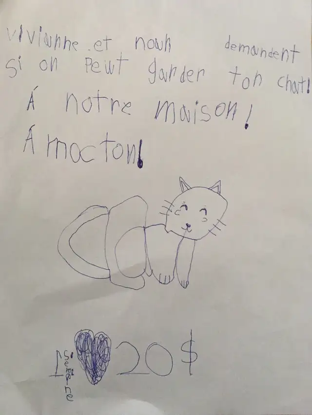 Cat sitters, cat sitting in Animal & Pet Services in Moncton - Image 4