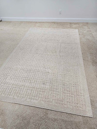 Area Rug