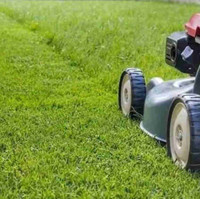 Sunshine Lawn Maintenance 